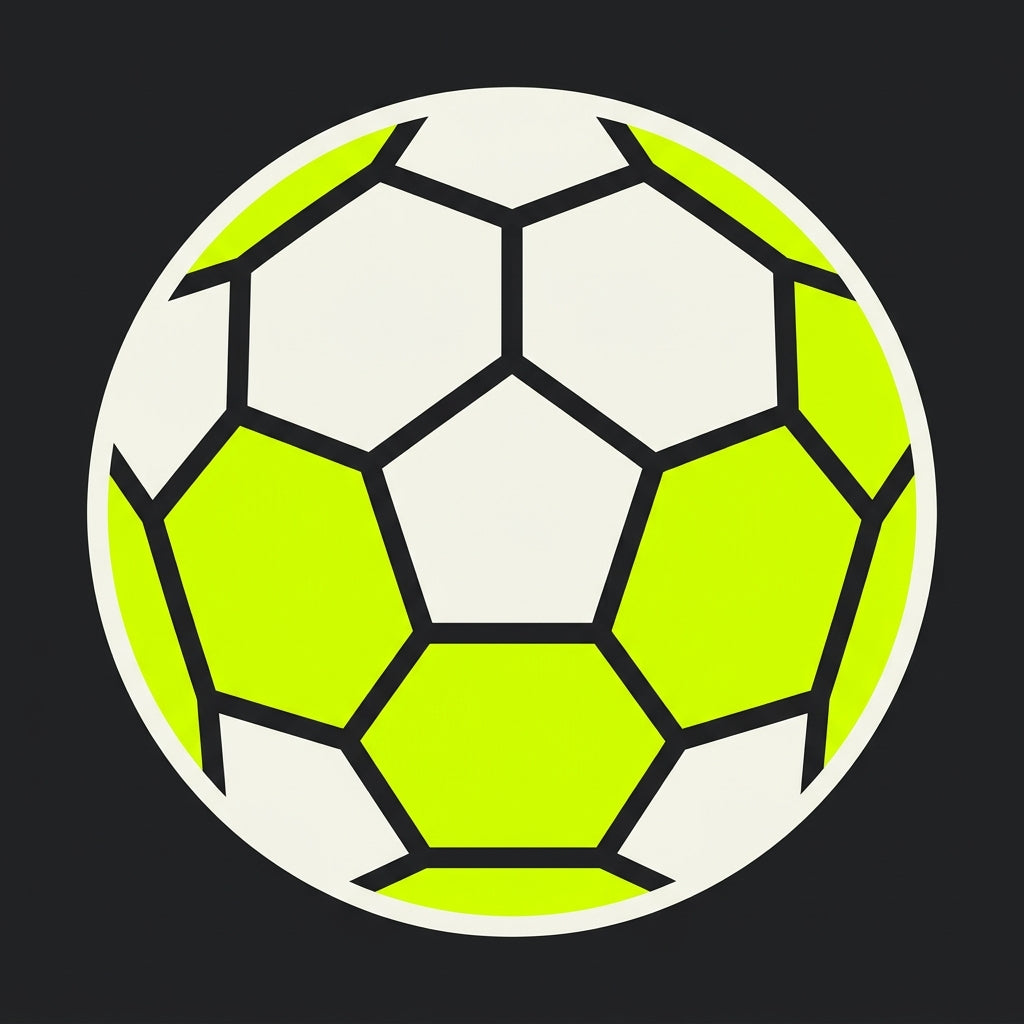 Illustration av en fotboll med 12 paneler